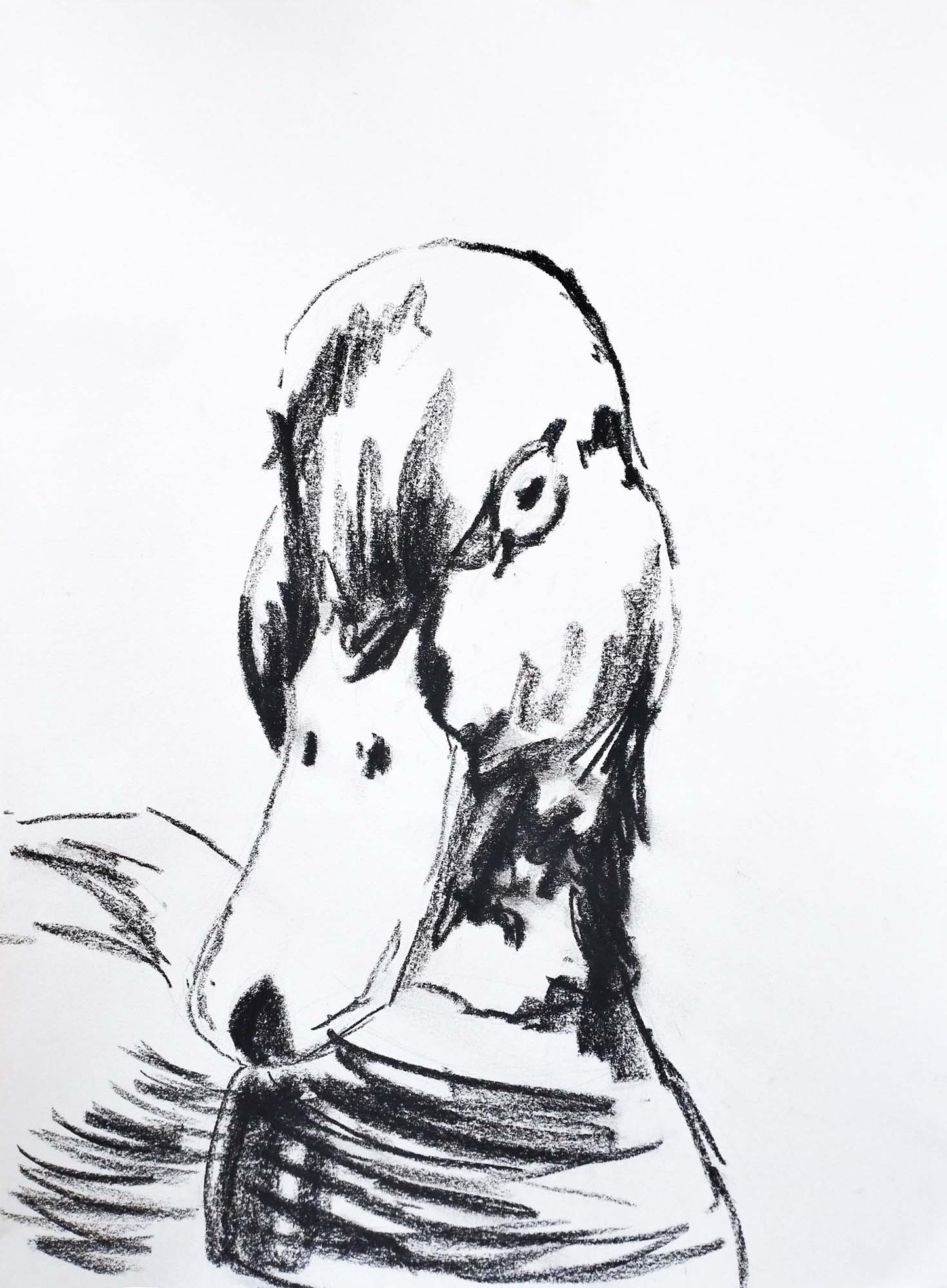 Heinz Acrylbild Skizze „Stille Feder – die Ente in Linie gefasst“ 30 x 40 cm