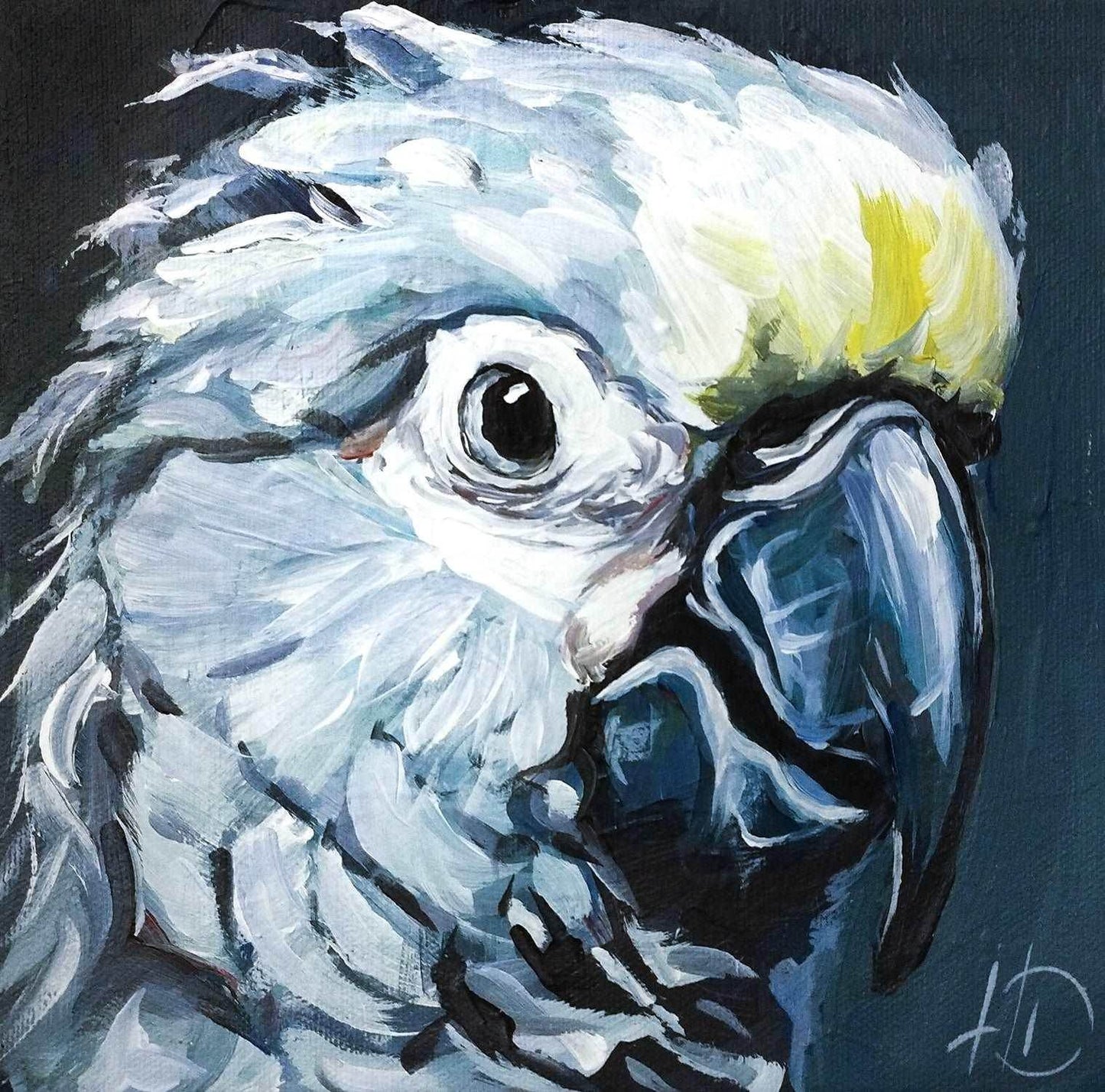 H1Z ART Acrylbild Gemälde Graupapagei – handgemaltes Original Acrylbild (20 x 20 cm)