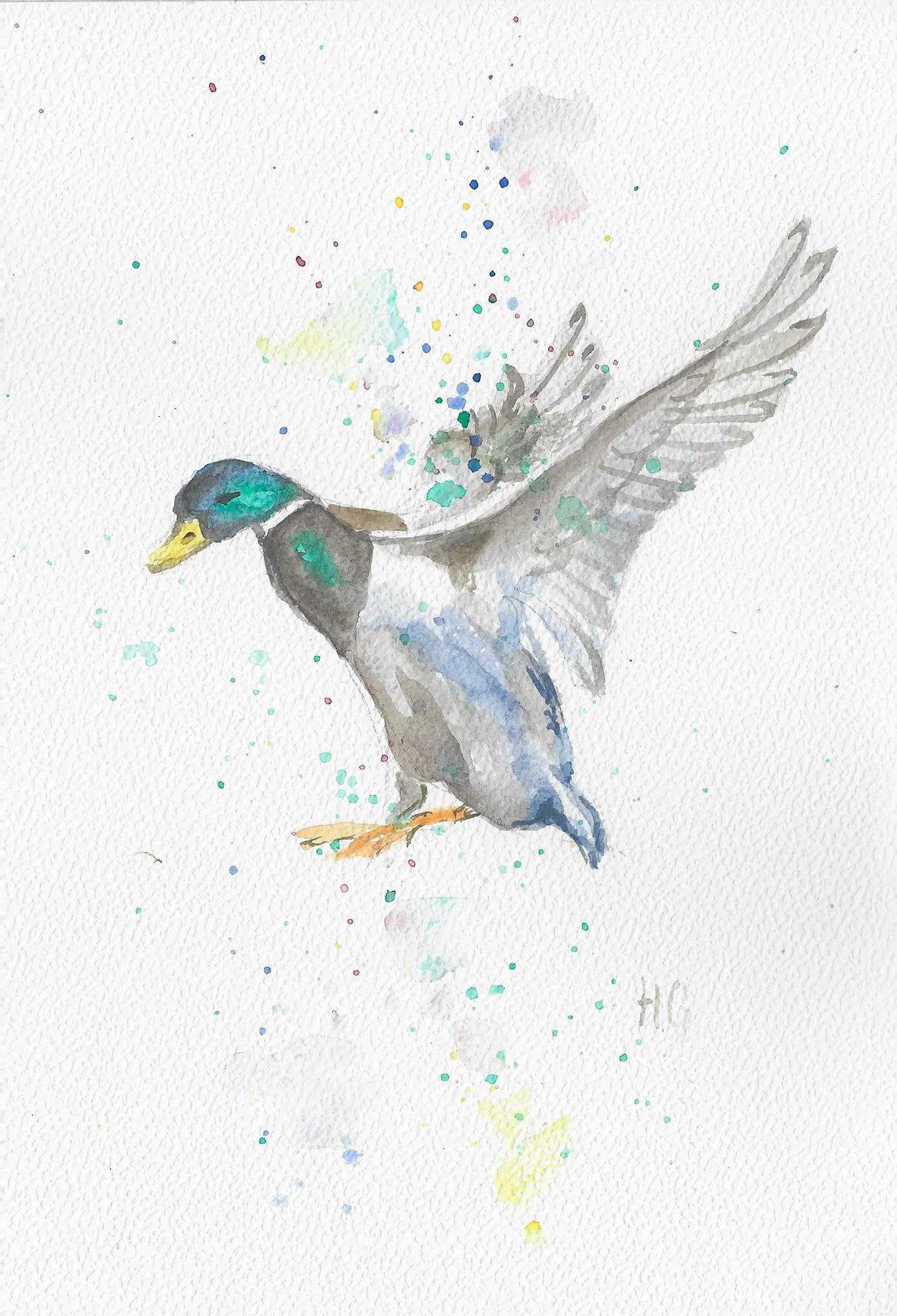 Postcard – "Wing Fun" – Hand-painted