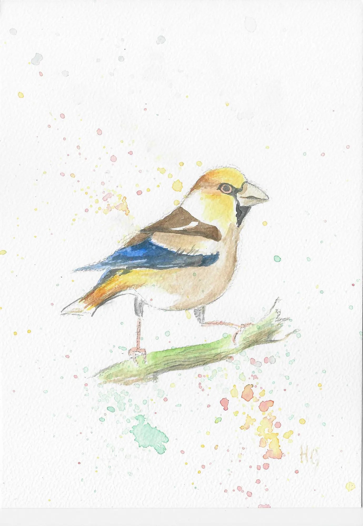 Postkarte „Kernbeißer“ – Handgemalt