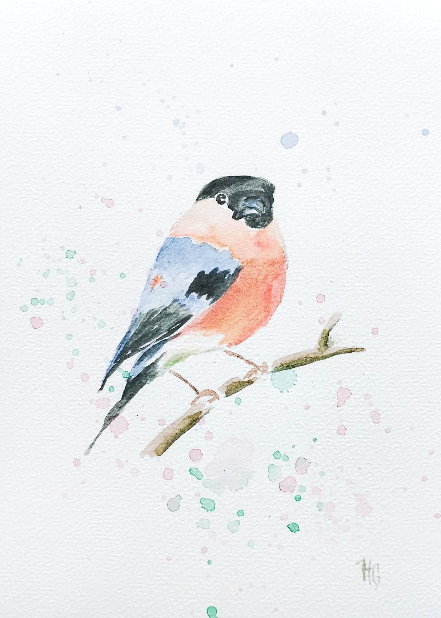 Postkarte „Gimpel“ – Handgemalt