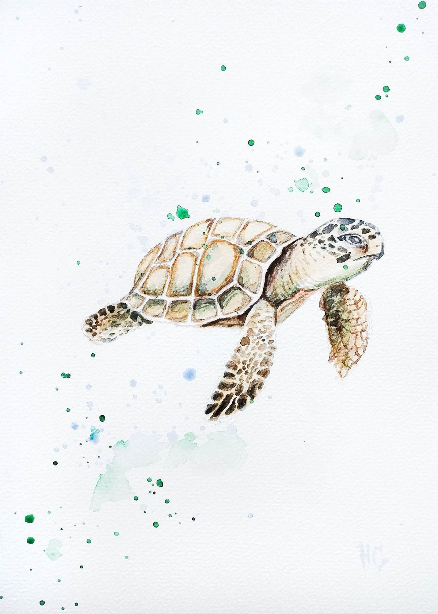 Postkarte „Schildkröte“ – Handgemalt