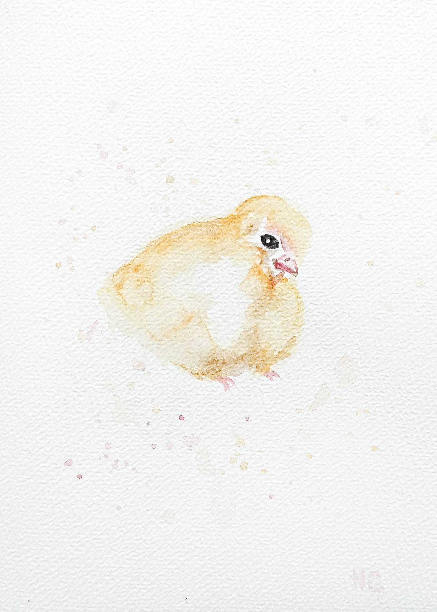 Postkarte „Küken“ – Handgemalt