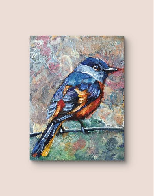Gemälde "Graukehl-Mennigvogel" 18 x 24 cm