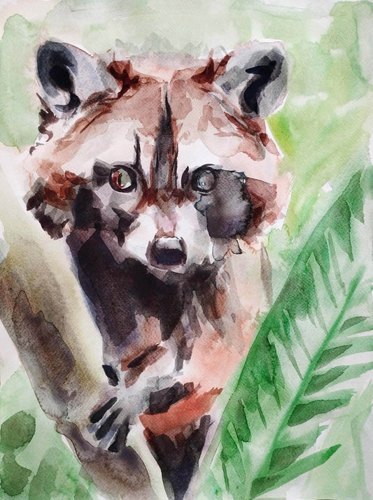 Aquarellbild Waschbär (30 × 40 cm)