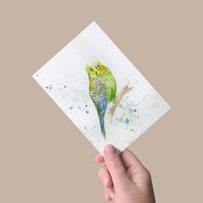 Postkarte „Grüner Wellensittich“ – Handgemalt