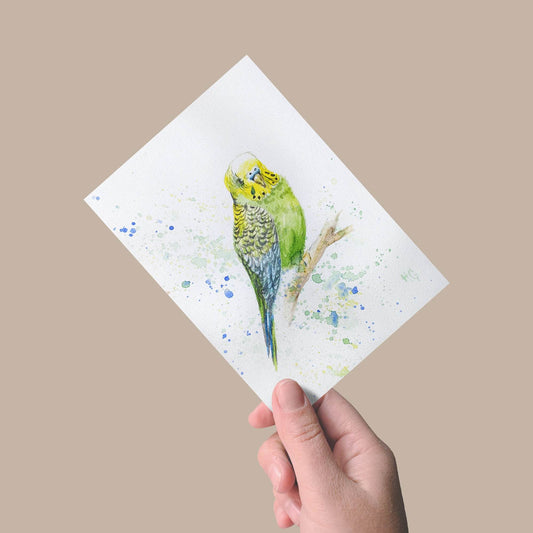 Postkarte „Grüner Wellensittich“ – Handgemalt