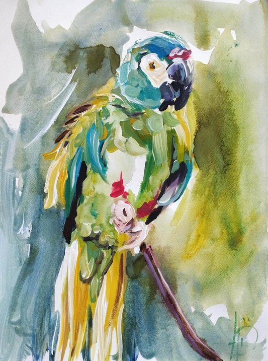 Aquarellbild Papagei (30 × 40 cm)