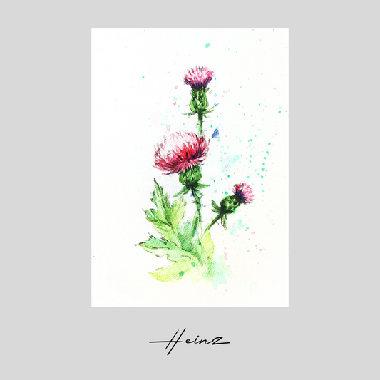 Aquarell handgemalte Grußkarte Distel