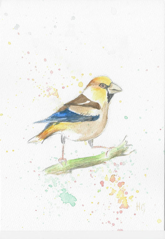Postkarte „Kernbeißer“ – Handgemalt