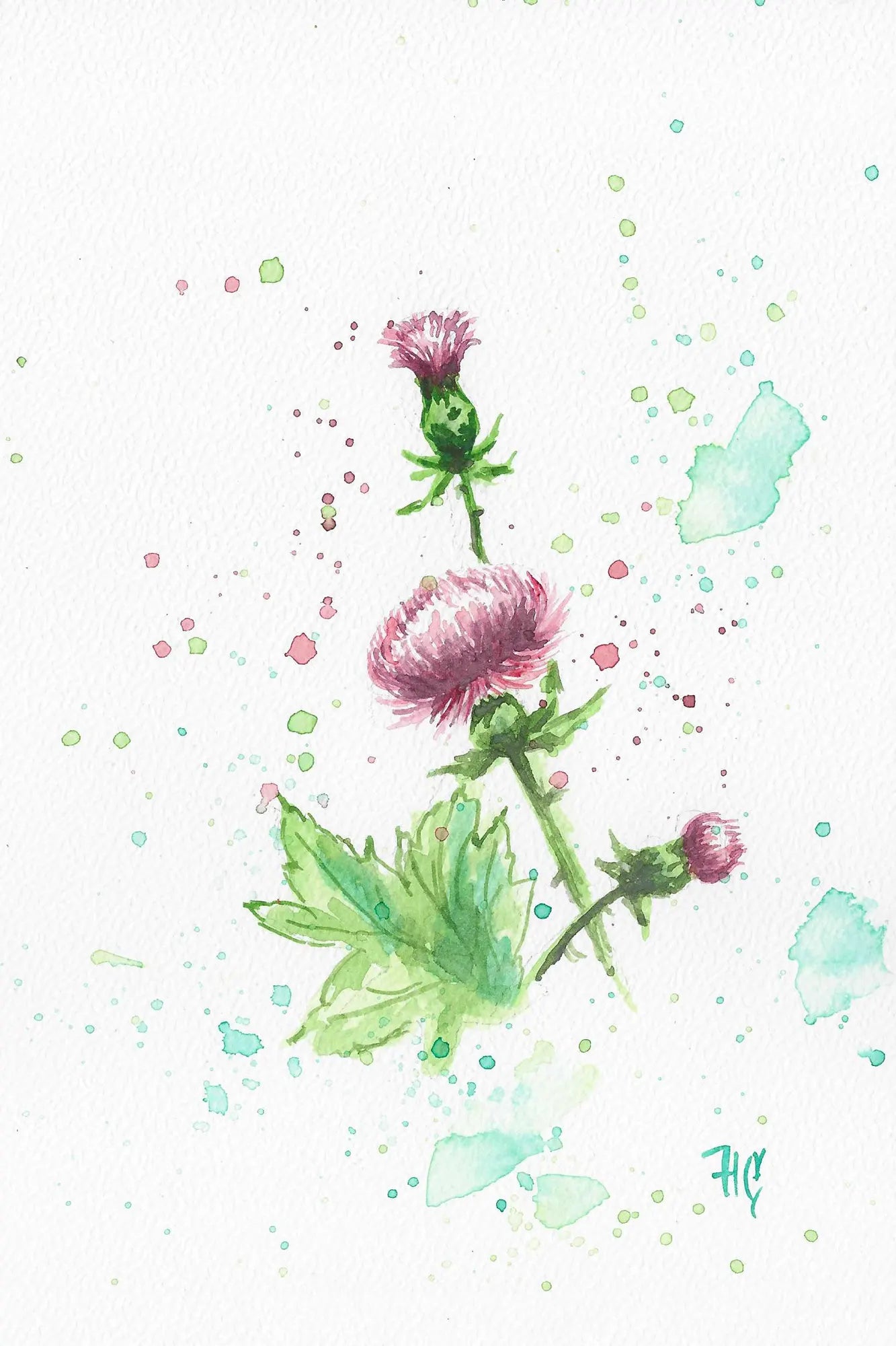 Postcard – "Thistles" – Hand-painted 