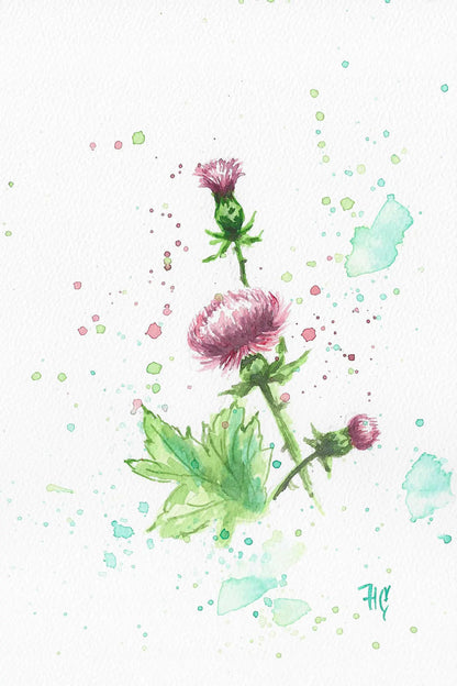 Postcard – "Thistles" – Hand-painted 