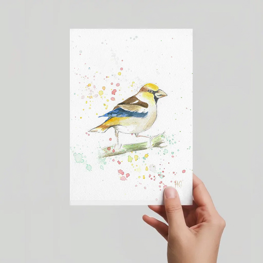 Aquarell Postkarte Kernbeißer auf Ast, handgemalt, expressive Malweise mit bunten Farbspritzern.