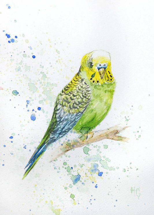 Postkarte „Grüner Wellensittich“ – Handgemalt