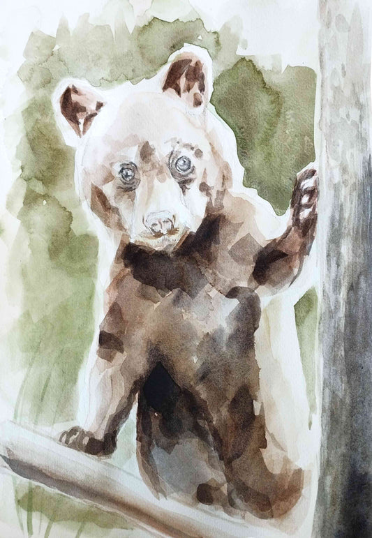 Aquarellbild Bär (30 × 40 cm)